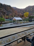 더좋은날