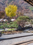 더좋은날