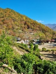 더좋은날