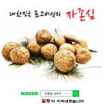수지몰