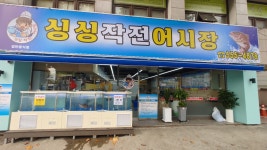 싱싱작전어시장