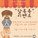 까끄송