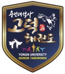 용인대석사고덕태권도장