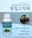 진설초해