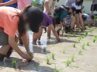 남면초등학교양덕분교장