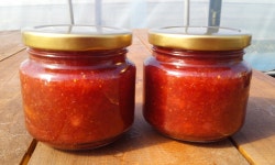 윤기네딸기체험농장