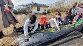 남면초등학교양덕분교장