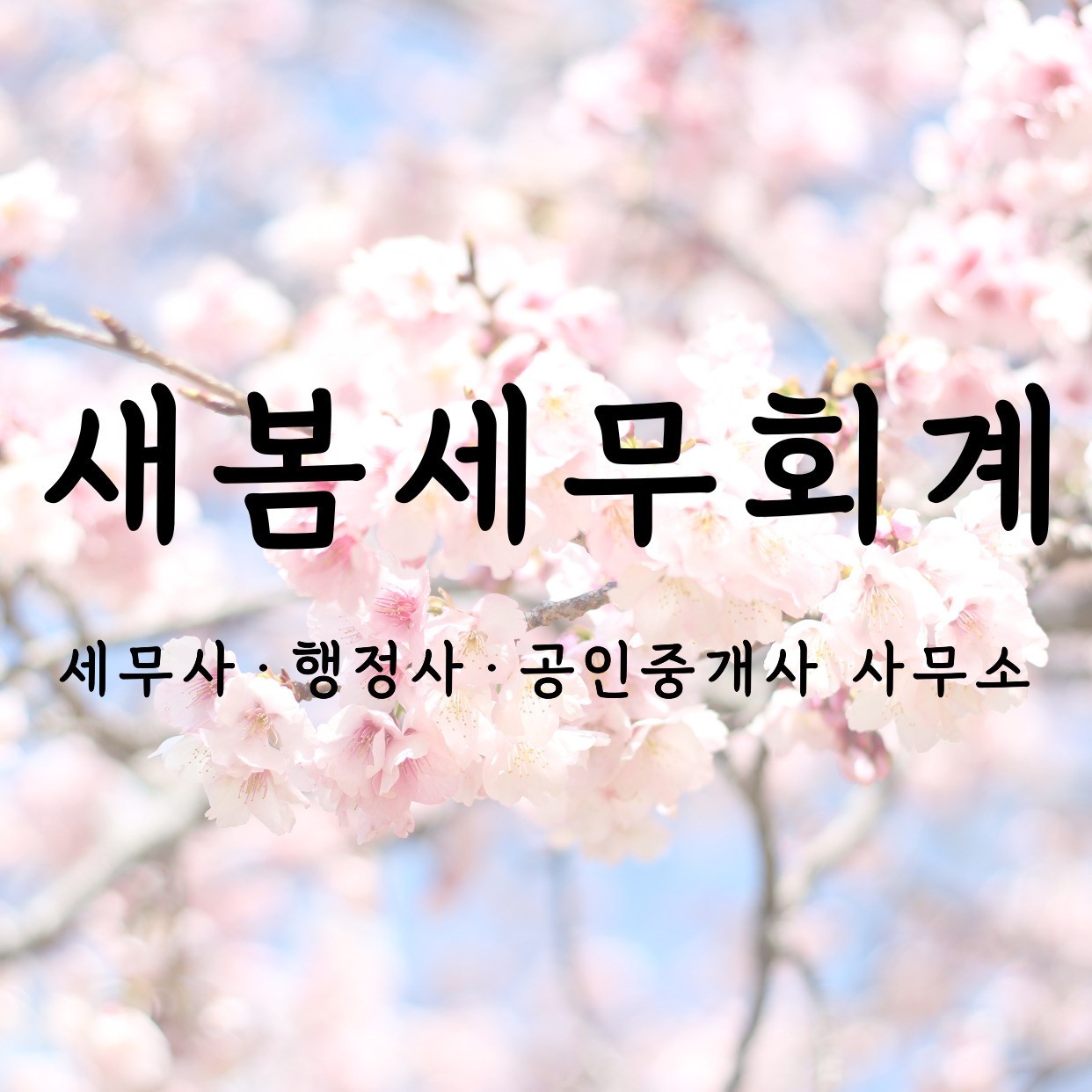 새봄세무회계