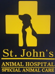 세인트존스 동물병원