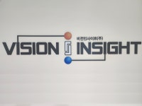 비전인사이트