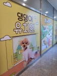플레이독 애견유치원&호텔