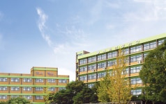매원초등학교