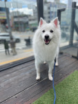로잔동물의료센터