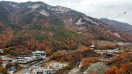 비타민팜오토캠핑장