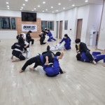 주짓수 MMA 팀락온 아라점