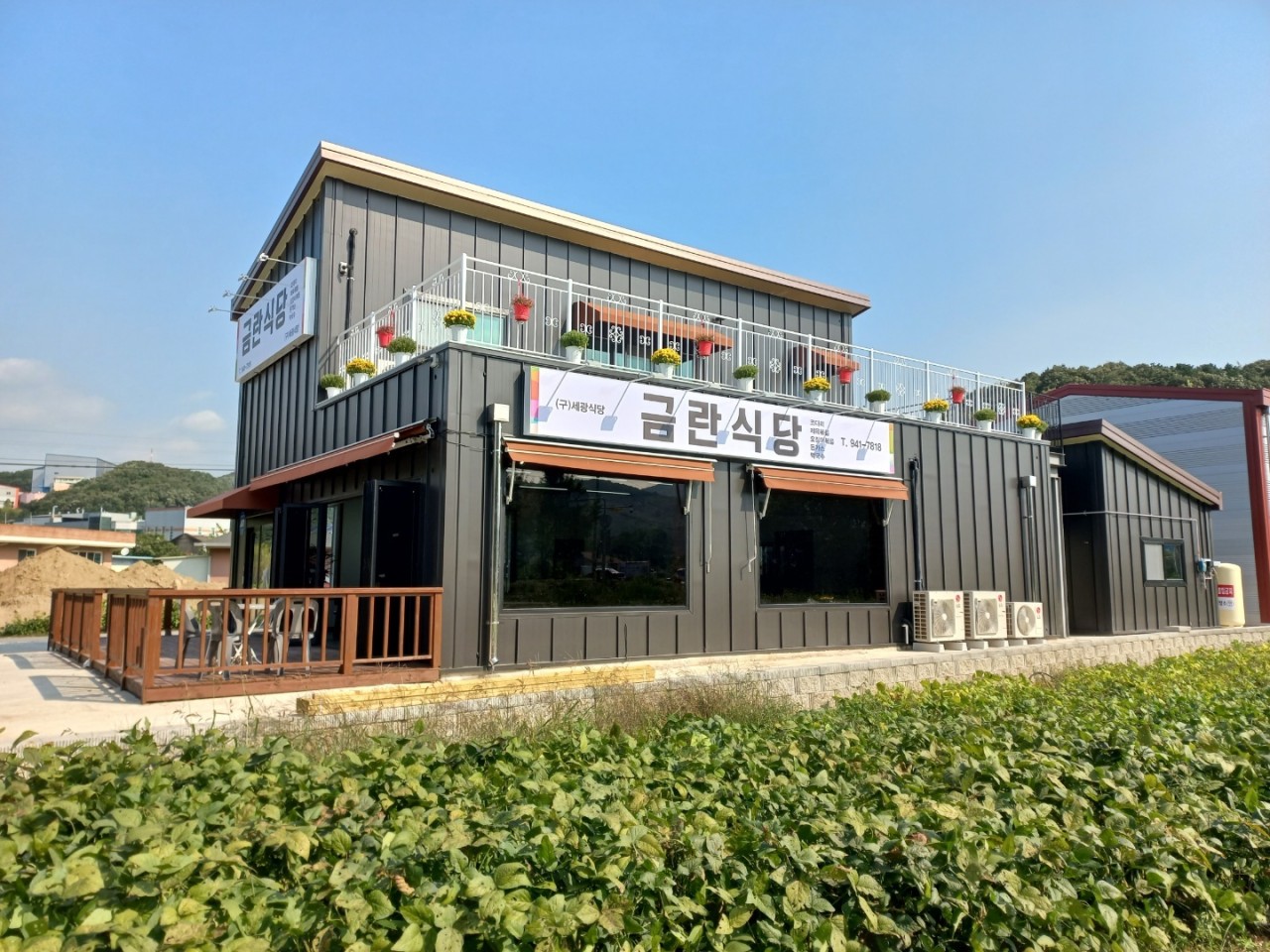 금란식당