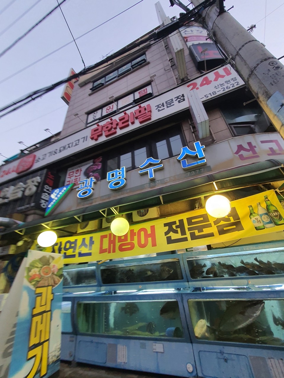 광명수산 이미지