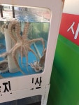 상관리조트맛집