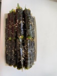 꼬마김밥