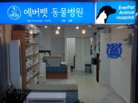 에버펫동물병원