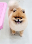 뽀독 시흥정왕점
