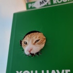 늘조은동물병원