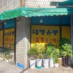 대명유통