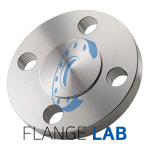 플랜지랩