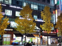 대치세이노학원 분당수내점