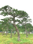 동림영농조합법인