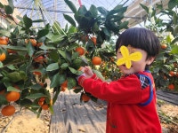 태환이네 귤농장