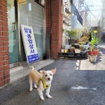 삼일종합상사