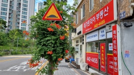 메가트리아공인중개사사무소