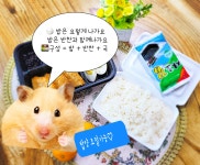 철이네 도시락