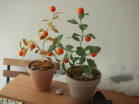 플라워팟 앙금플라워 떡케이크