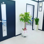 카일루스과학전문학원