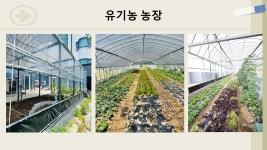 포항요양병원