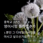마포공덕민들레영어스쿨영어교습소