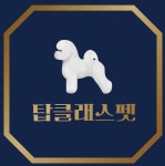 어벤져스켄넬 탑클래스펫 강아지분양