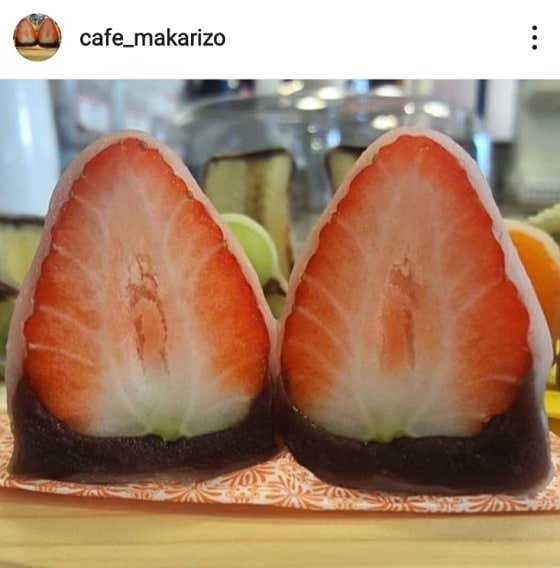 cafe 마카리조 사진