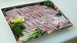 대전신화수산활어회센터