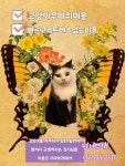 속초애견 더 이쁘개
