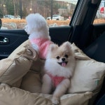 까망이