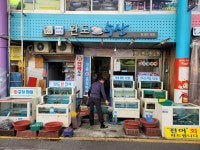 완도수산