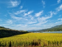 덕이농장