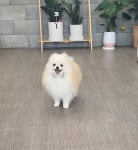 덕구살롱