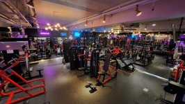 캐리비안휘트니스