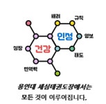 세심태권도