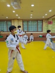 스타MBA태권도장