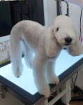 뭉크